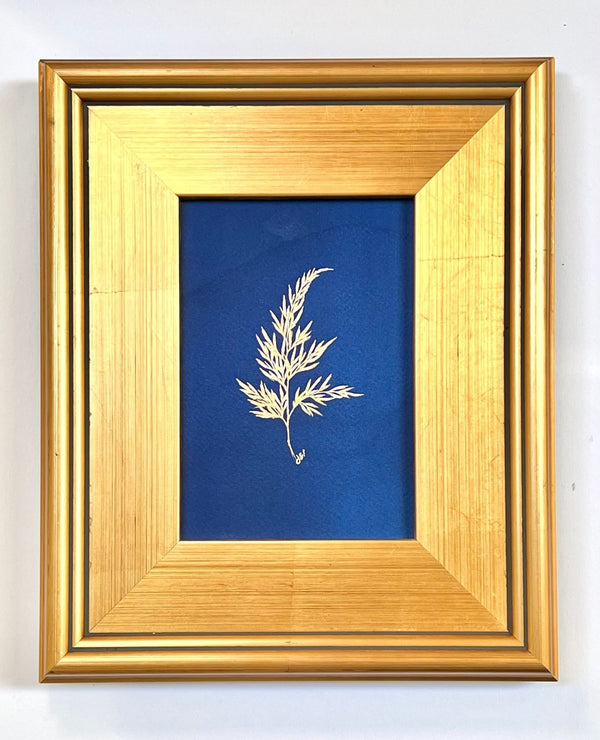 Carrot Fern | 12" h x 10" w | Framed - Liza Pruitt