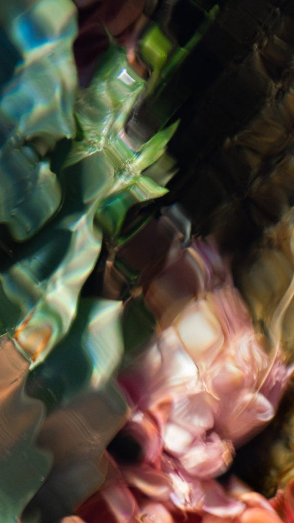 Chrysanthemum in the Yuba River | 46" h x 28.75" w | Framed - Liza Pruitt