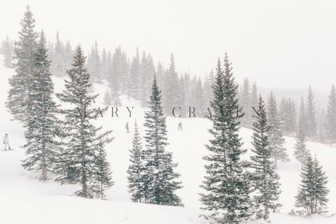 Colorado Winter: Colorado Winter I - Liza Pruitt