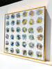 Fantastical Whimsy | 37.25" x 37.25" | Framed - Liza Pruitt