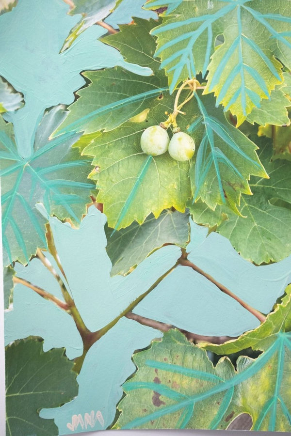 Grapes on the Vine | 15" h x 10" w - Liza Pruitt