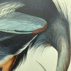 Great Blue Heron | 26" h x 17.5" w - Liza Pruitt