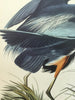 Great Blue Heron | 26" h x 17.5" w - Liza Pruitt