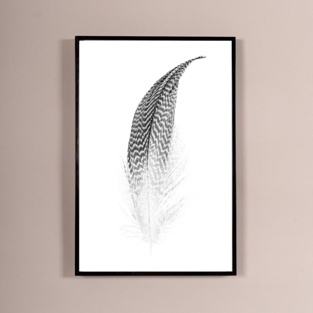 Green-Winged Tail Black and White | Framed and Unframed Options - Liza Pruitt