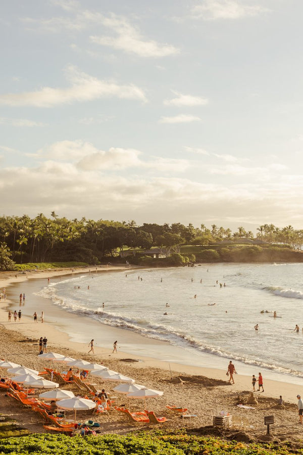 Hawaii: Big Island XI - Liza Pruitt
