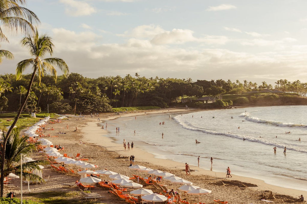 Hawaii: Big Island XII - Liza Pruitt