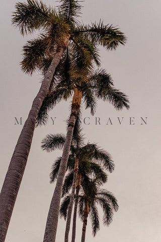 Hawaii: Hawaii I - Liza Pruitt