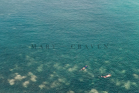 Hawaii: Hawaii IX - Liza Pruitt