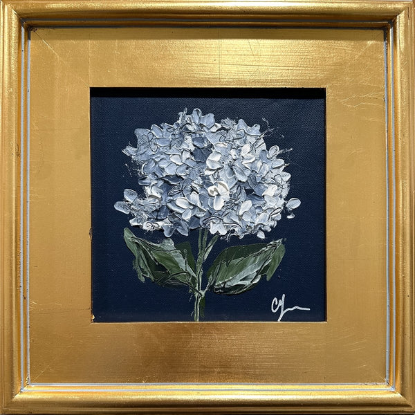 Hydrangea on Dark Blue I | 14" x 14" | Framed - Liza Pruitt
