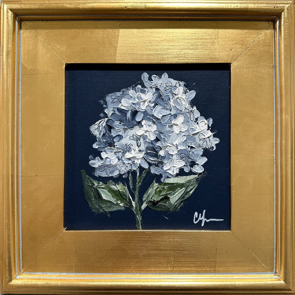 Hydrangea on Dark Blue II |14" x 14" | Framed - Liza Pruitt