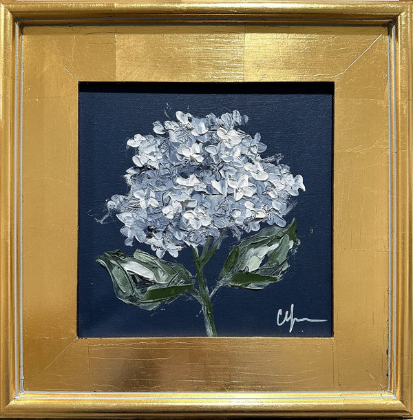 Hydrangea on Dark Blue IX | 16" x 16" | Framed - Liza Pruitt