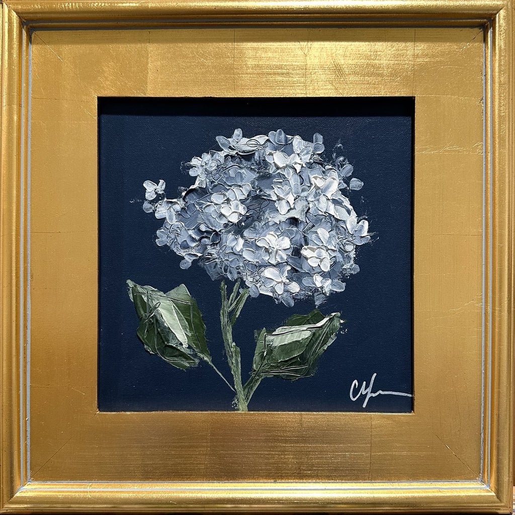Hydrangea on Dark Blue VIII | 16" x 16" | Framed - Liza Pruitt