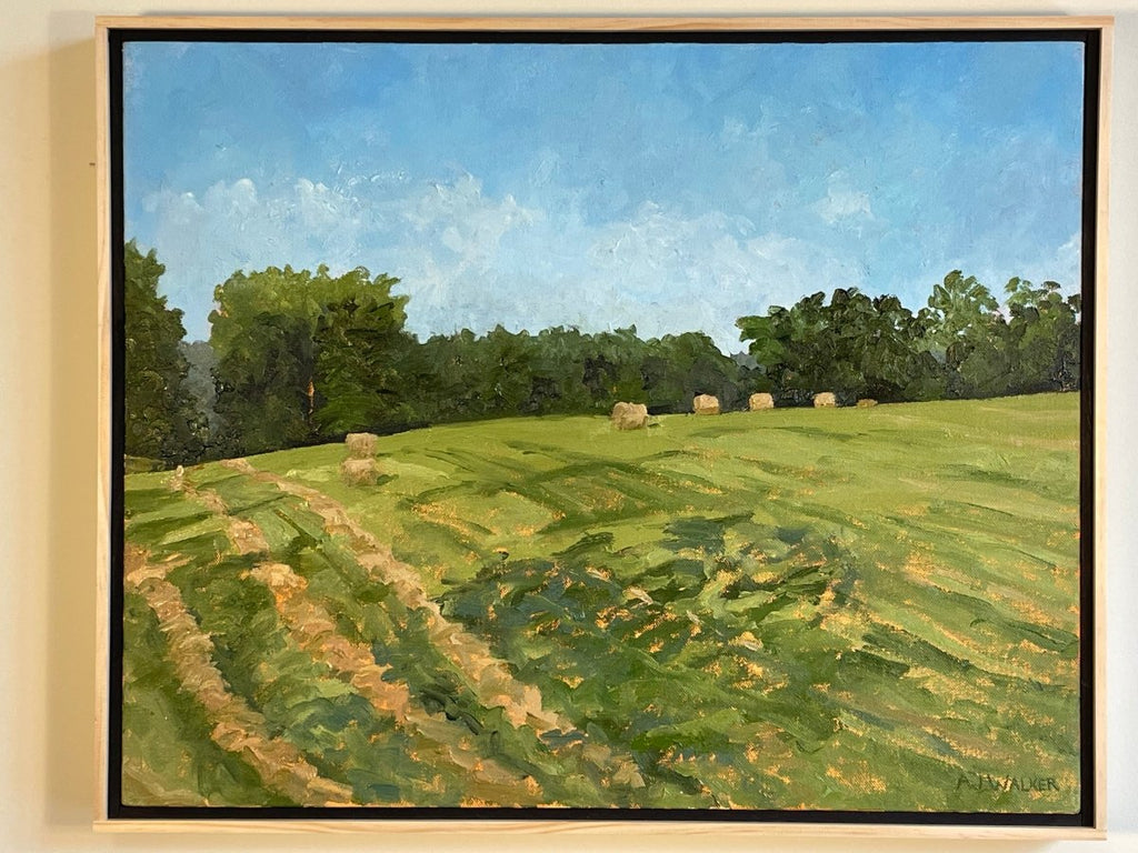 Ian's Field | 17" h x 21" w | Framed - Liza Pruitt