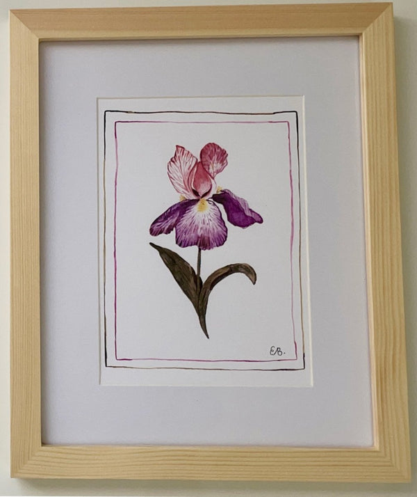 Iris Botanical | 11" h x 9" w | Framed - Liza Pruitt