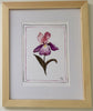 Iris Botanical | 11" h x 9" w | Framed - Liza Pruitt