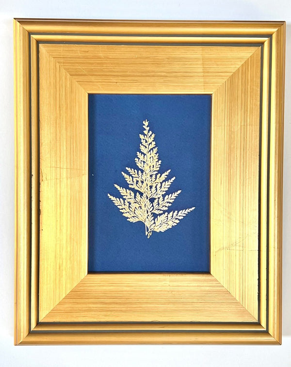 Lady Fern | 12" h x 10" w | Framed - Liza Pruitt