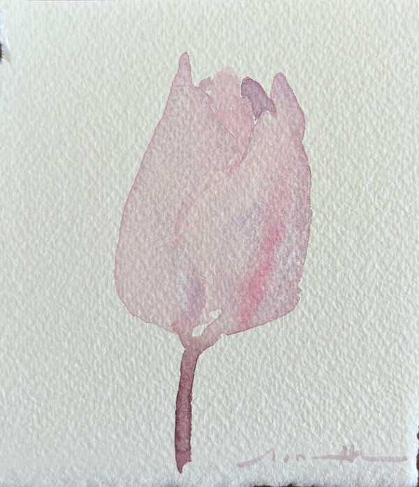 Lavender Tulip | 4.5" h x 5" w - Liza Pruitt