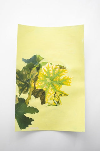 Le Phare De Vezernavy | 12" h x 8" w - Liza Pruitt