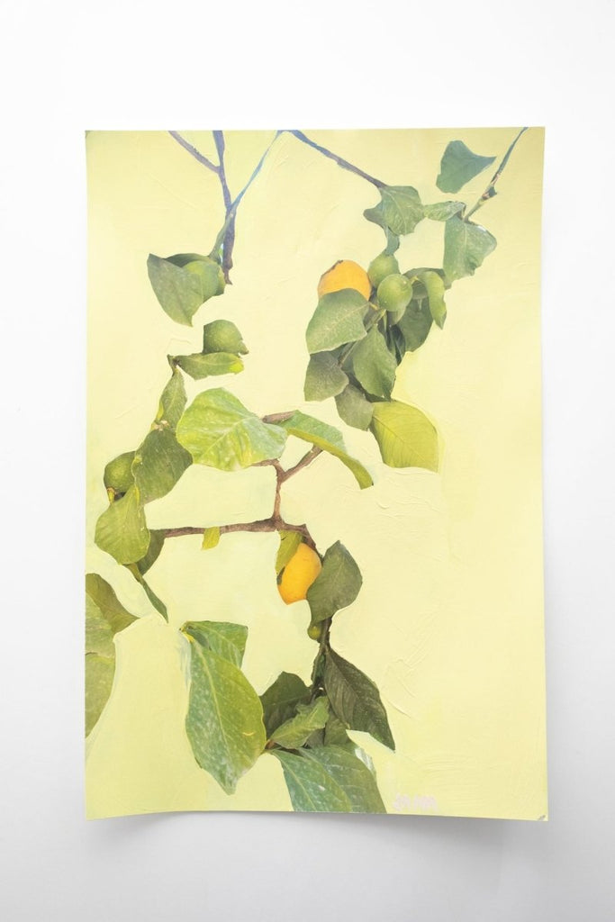 Lemon Trees in Como | 15" h x 10" w - Liza Pruitt