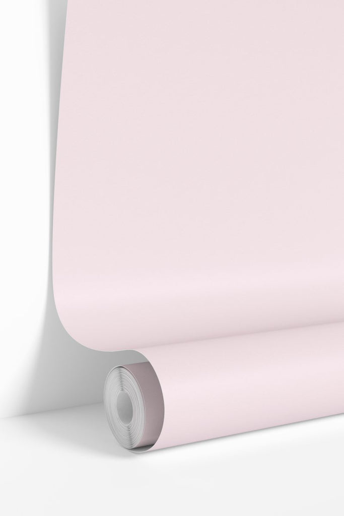 Light Pink Solid Wallpaper - Liza Pruitt