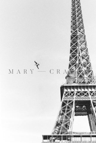London and Paris: Springtime In Europe XII - Liza Pruitt