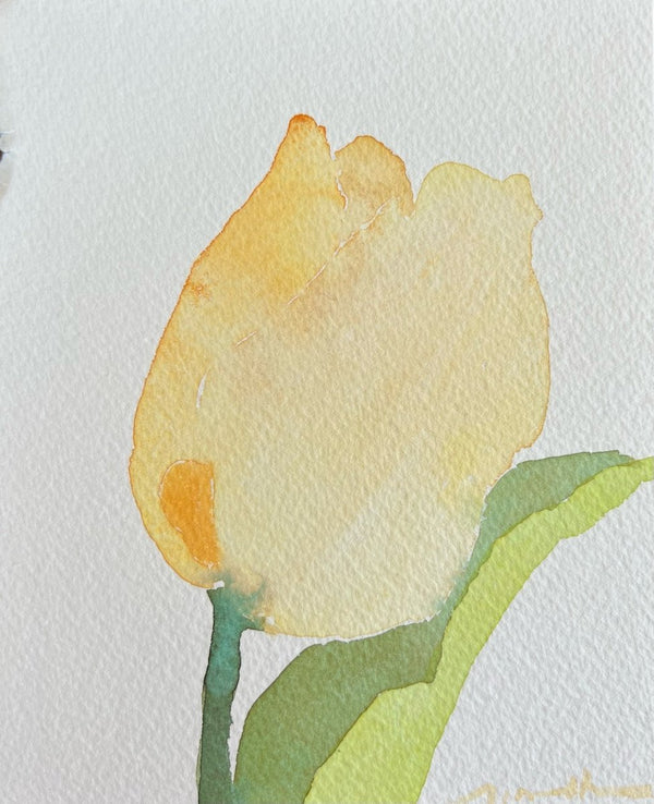 Palest Yellow Tulip | 6.5" h x 5.5 ” w - Liza Pruitt