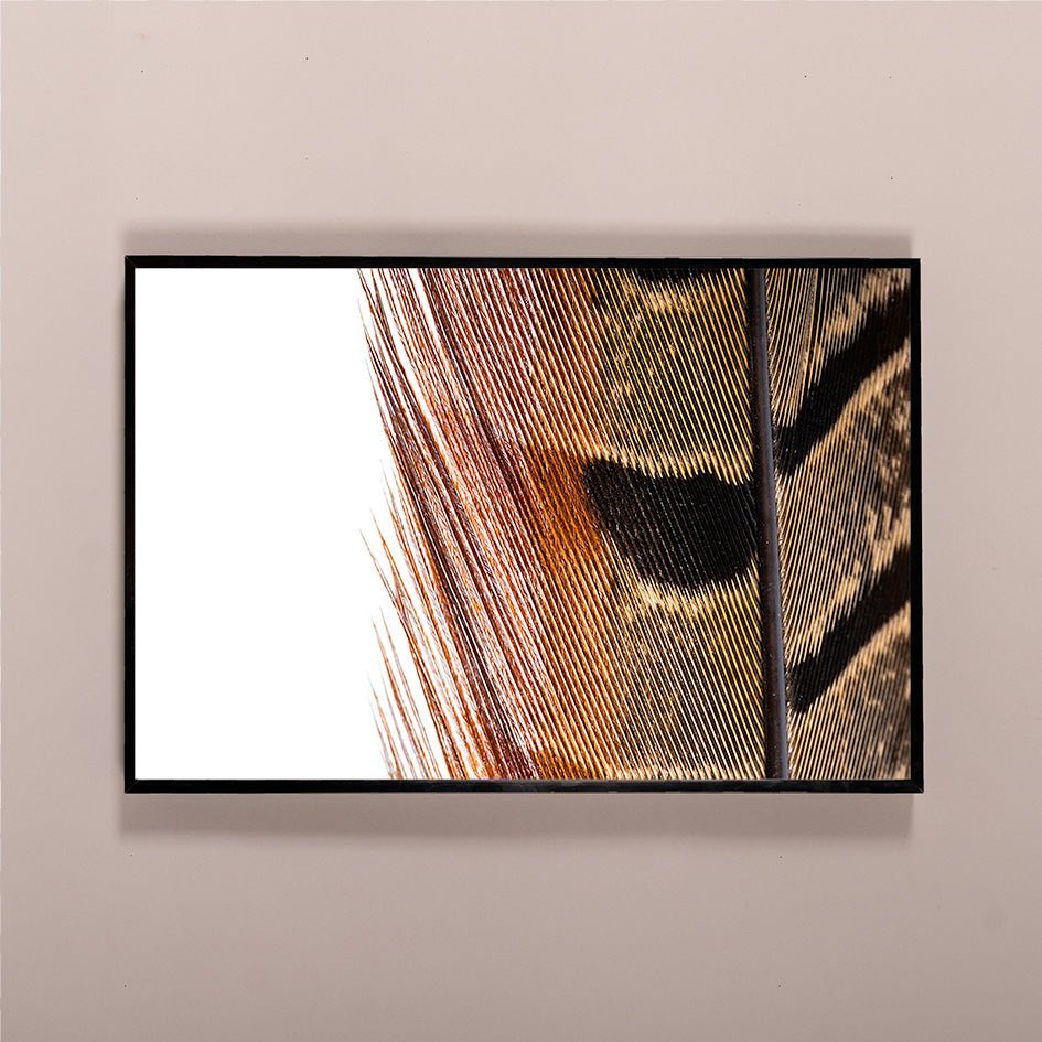 Pheasant Detail | Framed and Unframed Options - Liza Pruitt