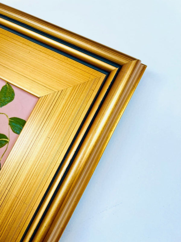 Planter in Pink | 12" h x 10" w | Framed - Liza Pruitt