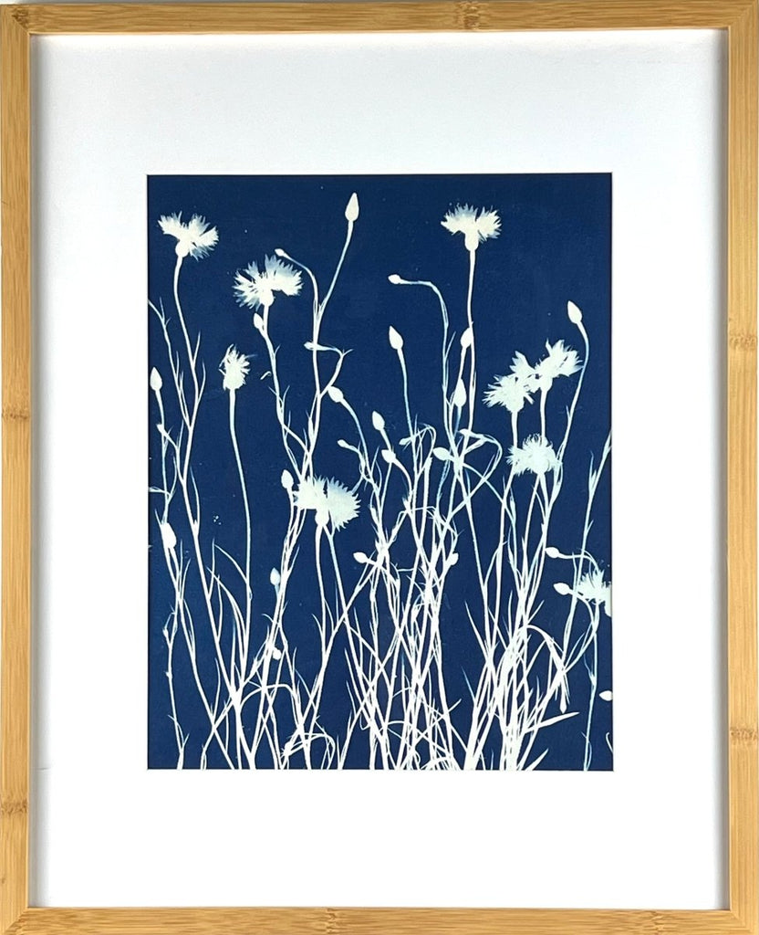Roadside Corn Flowers | 21" h x 17" w | Framed - Liza Pruitt