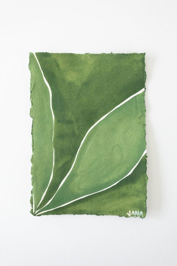 Sap Leaf Study | 8.5" h x 5.75" w - Liza Pruitt