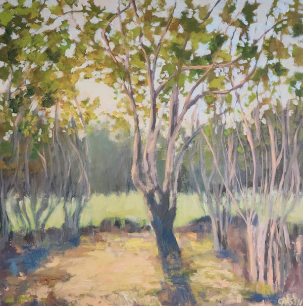 Shining Through the Trees | 40" x 40" - Liza Pruitt