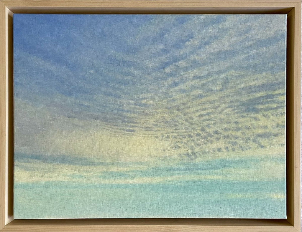 Skyscape 39 | 12" h x 16" w | Framed - Liza Pruitt