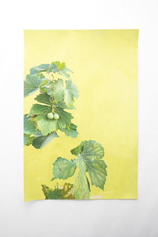Still on the Vine | 18" h x 12" w - Liza Pruitt