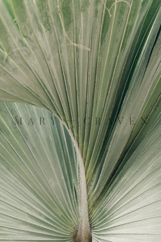 The Keys: The Keys VII - Liza Pruitt
