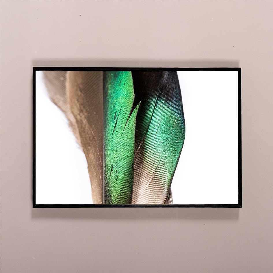 Two Green-Winged Teal | Framed and Unframed Options - Liza Pruitt