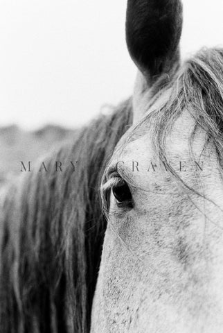 Western Tour Part I: Ranch Life IX - Liza Pruitt