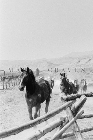 Western Tour Part I: Ranch Life XII - Liza Pruitt