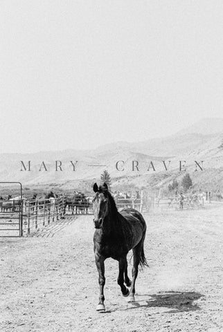 Western Tour Part I: Ranch Life XVIII - Liza Pruitt
