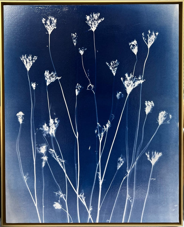 Wildflowers #1 | 20.75" h x 16.75" w | Framed - Liza Pruitt